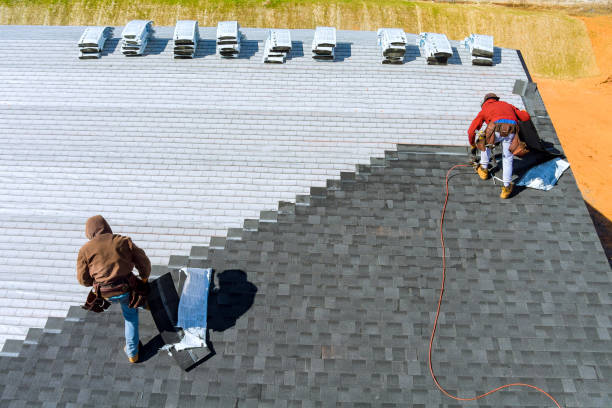 Best Roof Gutter Cleaning  in Atlanta, TX